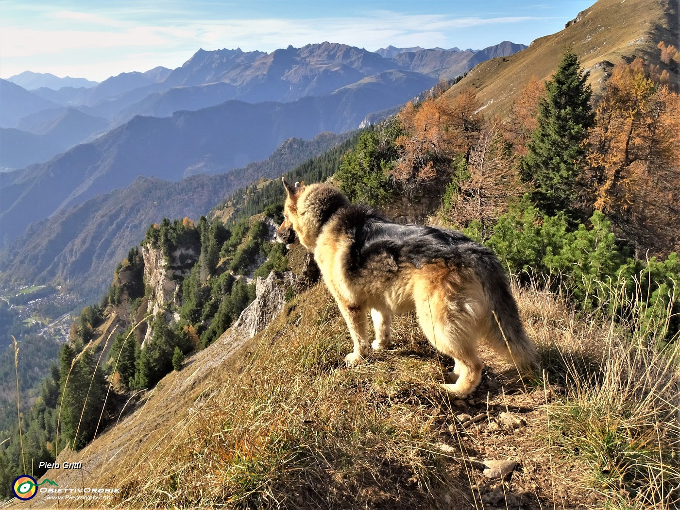 60 Dori osserva dall'alto la valle di Piazzatorre .JPG